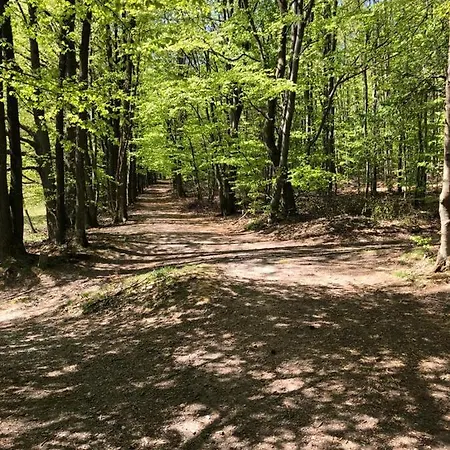 Serways Spessart Szálloda Rohrbrunn