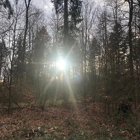 Serways Spessart فندق Rohrbrunn