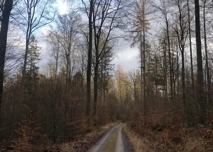מלון Serways Spessart Rohrbrunn